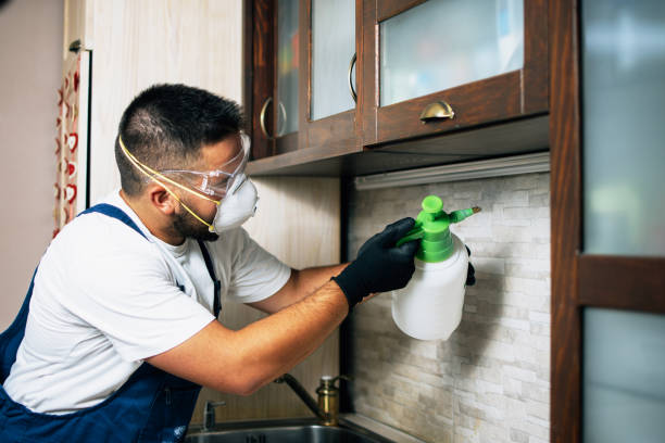 Best Residential Pest Control  in Haskell, AR