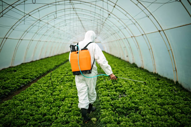 Best Best Pest Control Companies  in Haskell, AR