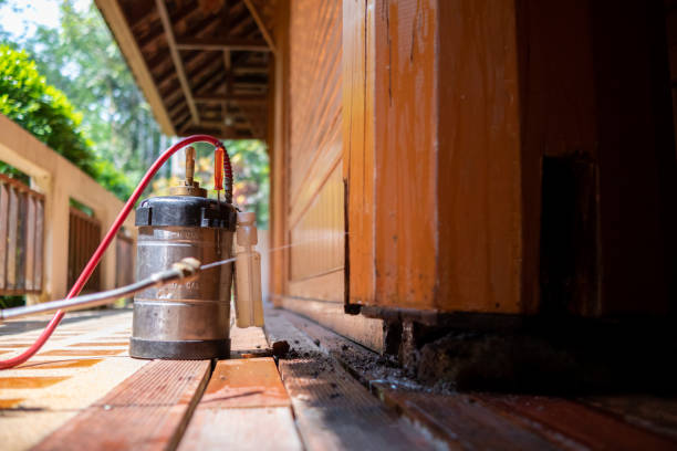Best Best Pest Control Companies  in Haskell, AR