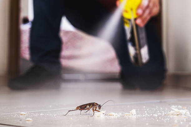 Best Commercial Pest Control Services  in Haskell, AR